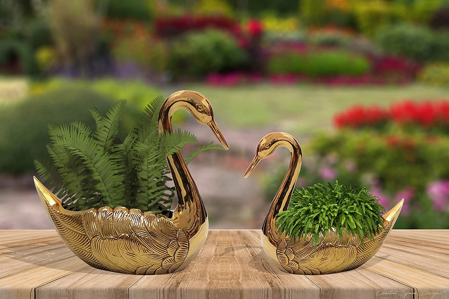 BR 2831 - Brass Swan Pair, Planter