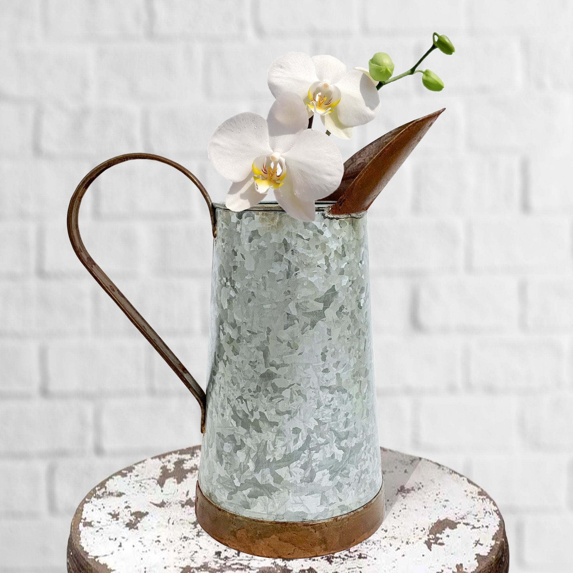 IR 2568 - Galvanized Pitcher, 13"