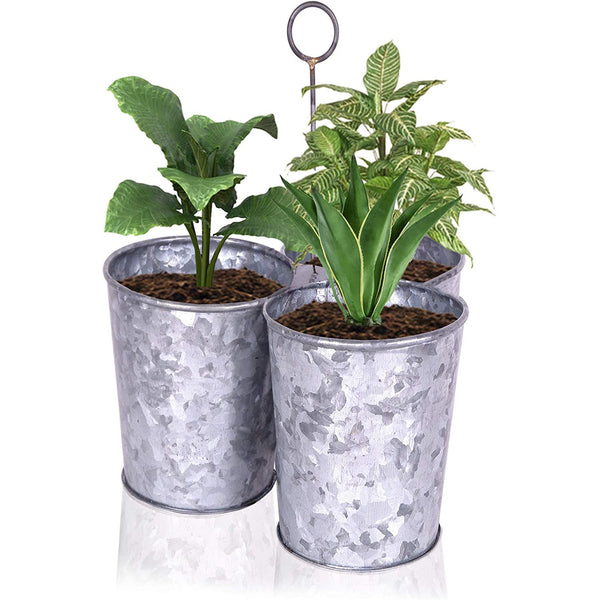 IR 14162 - Pots with tray St/4