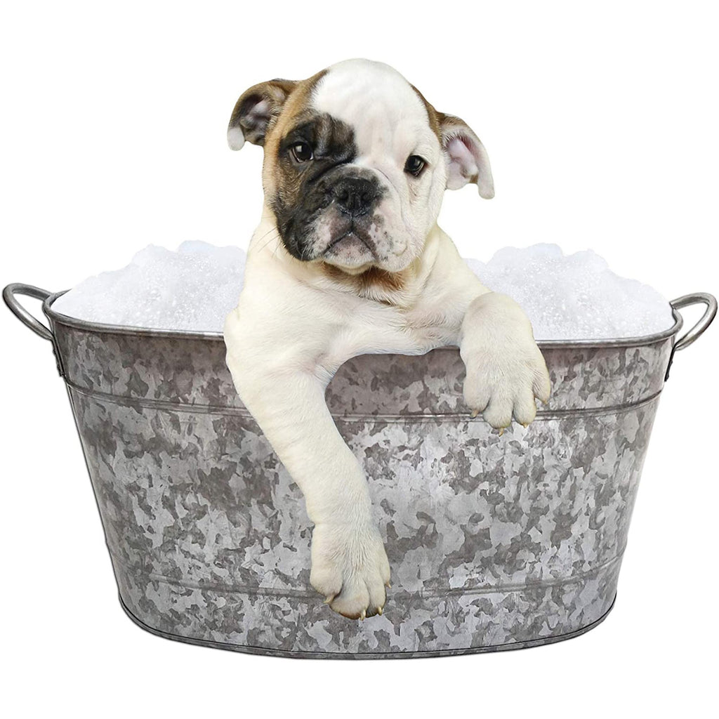 IR 4033 - Galvanized Beverage Tub