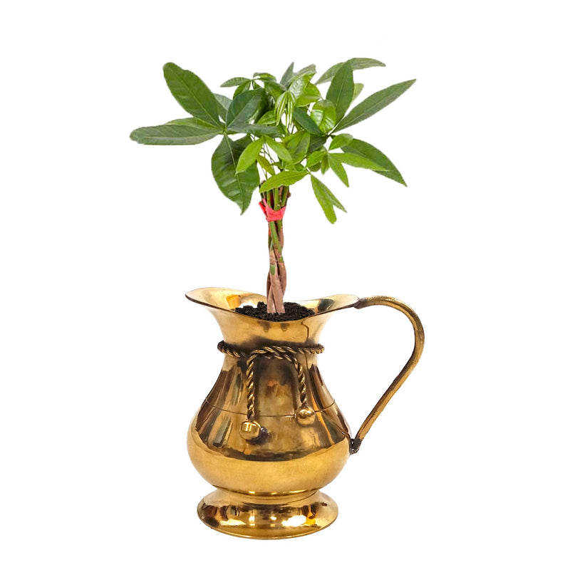 BR 40984 - Brass Jug with Rope, C/BX