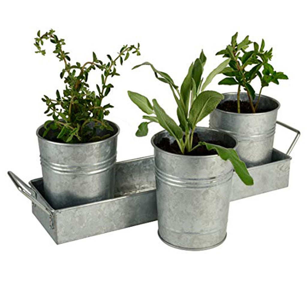 IR 14161 - Picnic Caddy & Planter Set, Galvanized Pots with tray St/4