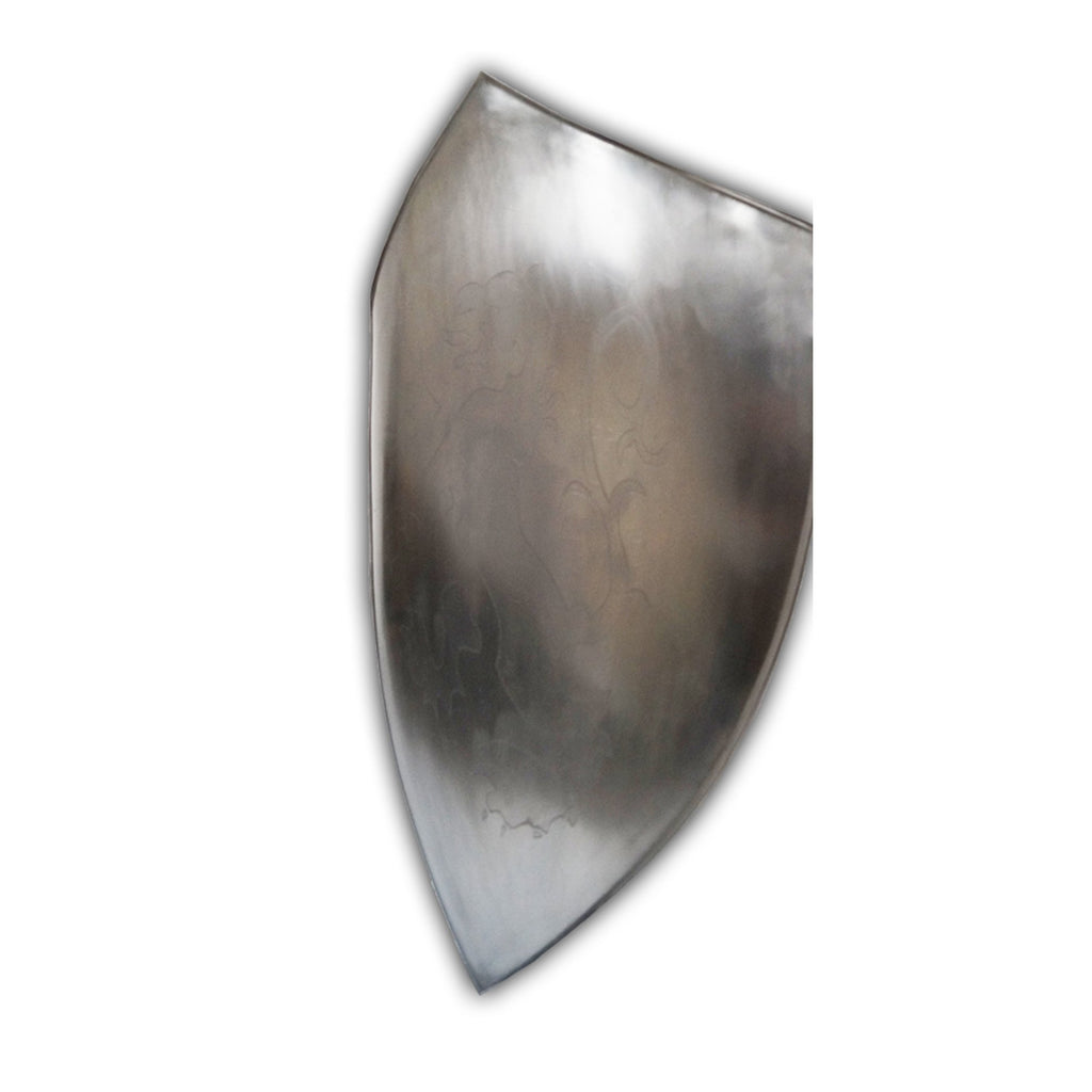 IR 80702 - Lion Shield