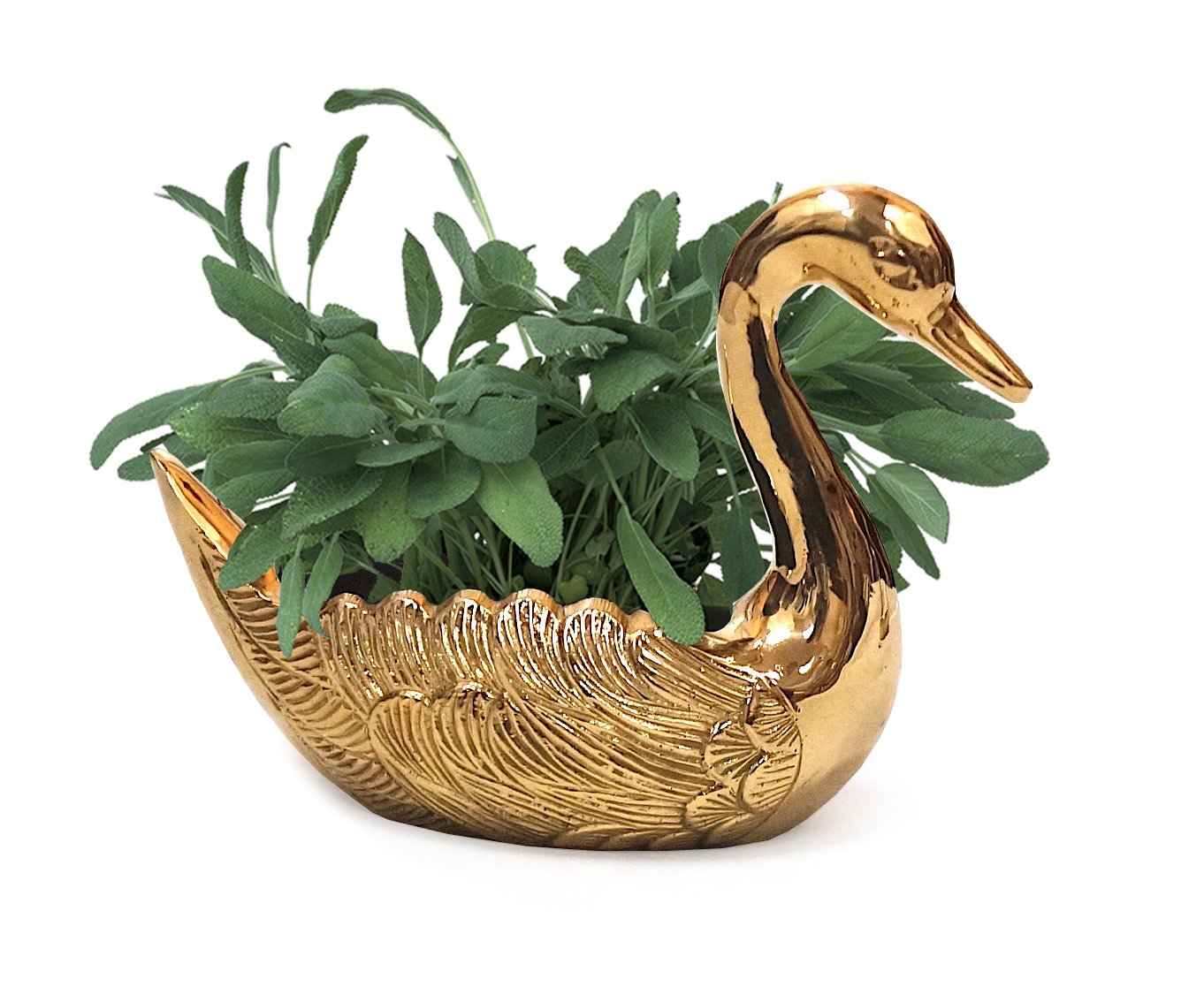 BR 2831 - Brass Swan Pair, Planter